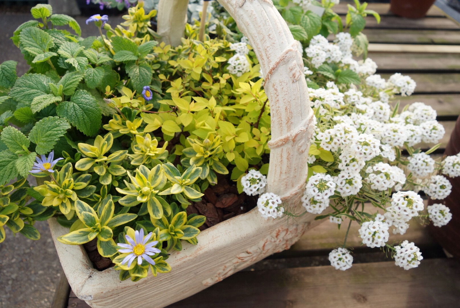 スウェーデン雑貨もあるかわいいお花屋さん Blomster Anna ブロムステル アンナ つくばファンfunブログ ヴィアートつくば